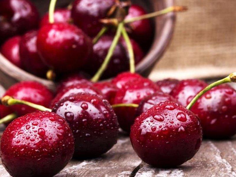 Вишня купить саженцы из питомника в Ноябрьске